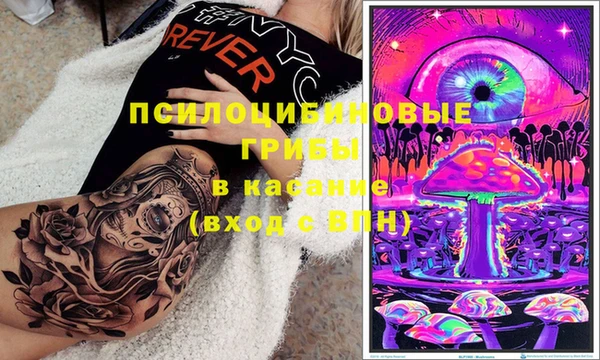 спайс Богородицк