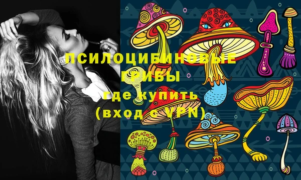 apvp Белокуриха