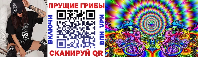 Галлюциногенные грибы Cubensis  нарко площадка клад  Елизово 